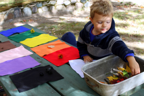 Learning Colors Through Nature 2012best7