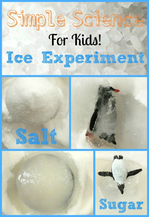Simple Science- Ice Experiment - Inner Child Learning