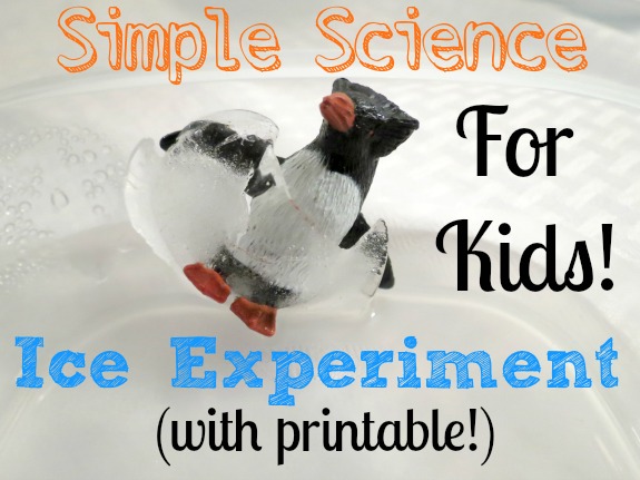 Simple Science- Ice Experiment - Inner Child Learning