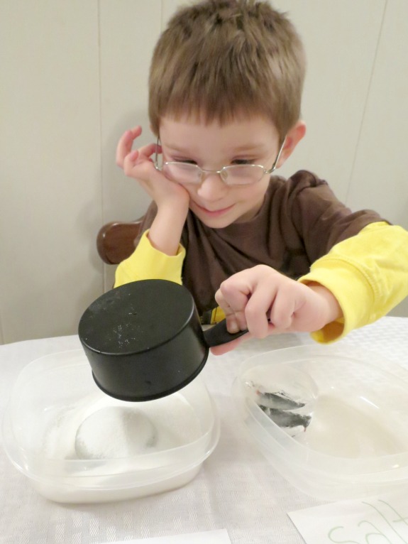 Ice Experiment with Variables