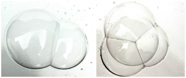 Bubble Science- 3 Simple Experiments for Kids Bubble Science- 3 Simple Experiments for Kids